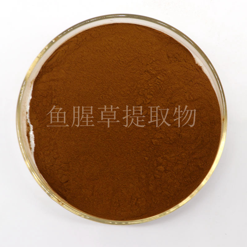  今日推荐系列-鱼腥草提取物