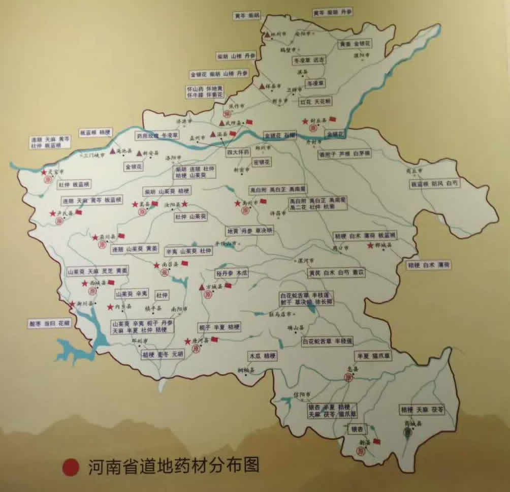 什么是道地药材？河南有哪些道地药材？