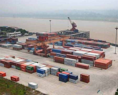 2022年的中国植物提取物出口规模将达到340多亿